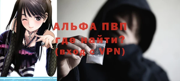 стаф Богородицк