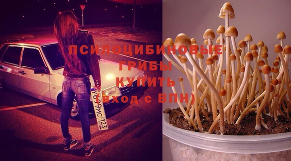 соль курить ск Богородск