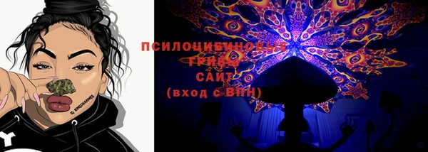 дурь Семёнов
