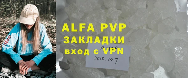 стаф Богородицк